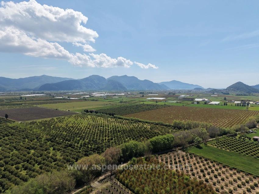 Гранатовый Сад Площадью 16 000 М² Продается В Эскикёе.