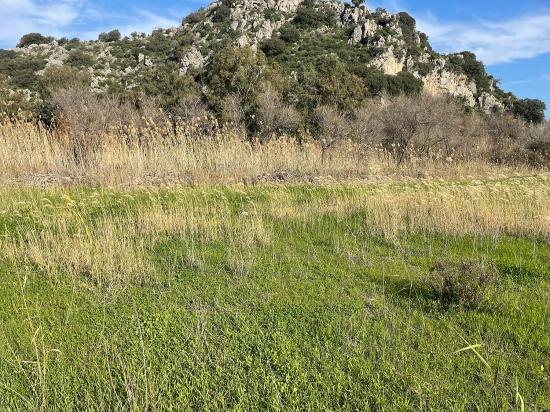 Продается Земельный Участок Площадью 6800 М2 В Дальяне, 5% Территории Отведено Под Жилую Застройку.