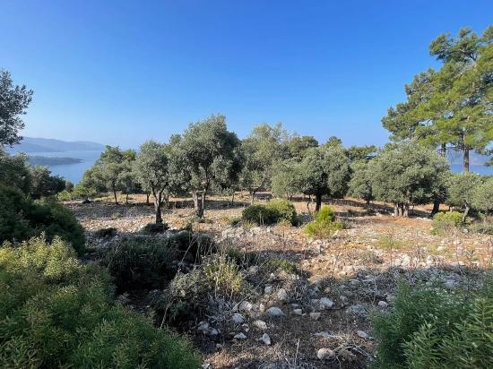 Выгодная Земля На Продажу С Видом На Море В Районе Экинджик-Чандыр.