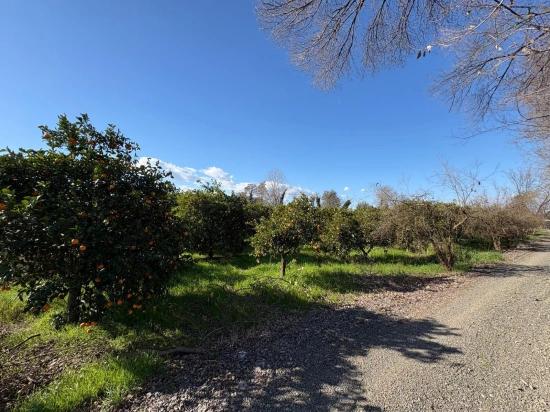 Продается Земельный Участок Площадью 4326 М² В Жилом Районе Окчулар.