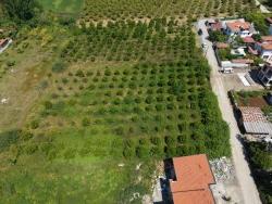 Для Продажи Сюжет в Okçular Ortaca - Под Жилье застройку - 1.050 m²