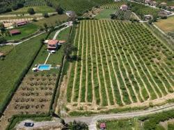 Для Продажи Поле в Dalyan Ortaca - Под Поле застройку - 5.100 m²
