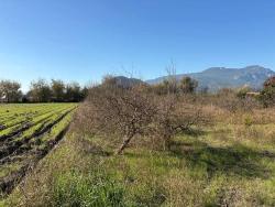 Для Продажи Поле в Dalyan Ortaca - Под Поле застройку - 4.541 m²