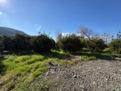 Продается Земельный Участок Площадью 4326 М² В Жилом Районе Окчулар.