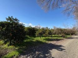 Продается Земельный Участок Площадью 4326 М² В Жилом Районе Окчулар.