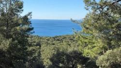 Для Продажи Поле в Çandır Köyceğiz - Под Жилье застройку - 5.715 m²