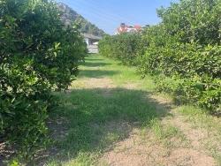 Для Продажи Сюжет в Dalyan Ortaca - Под Жилье застройку - 722 m²