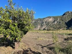 Для Продажи Поле в Dalyan Ortaca - Под Поле застройку - 6.600 m²