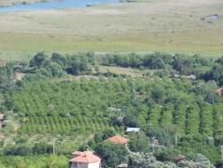 Для Продажи Поле в Çandır Köyceğiz - Под Поле застройку - 1.252 m²