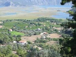 Для Продажи Поле в Çandır Köyceğiz - Под Поле застройку - 1.252 m²