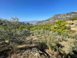 Земля 3514M2 На Продажу С Панорамным Видом На Море В Гёкбеле