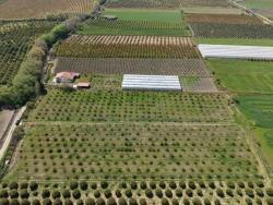 Для Продажи Поле в Eskiköy Ortaca - Под Поле застройку - 16.000 m²