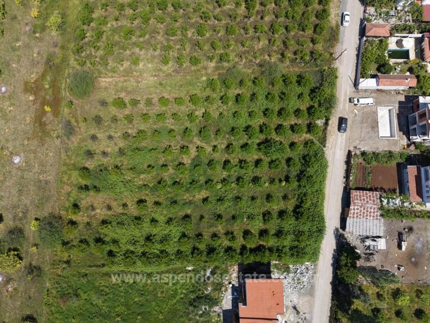 Okçular'da 1050M2 Köy Yerleşik Alanında Satılık Arsa