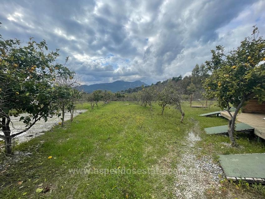 Dalyan'da 11.000M2 Arsa İçerisinde Satılık Butil Otel Ve Bungalov