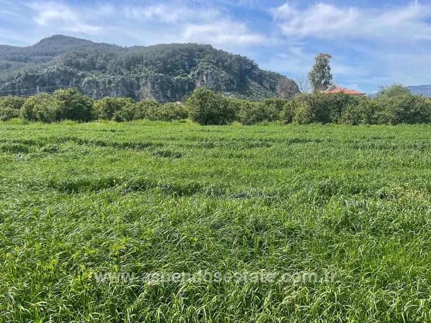 Okçular'da 736m2 Olan 250m2 İnşaat İzinli Satılık Arsa