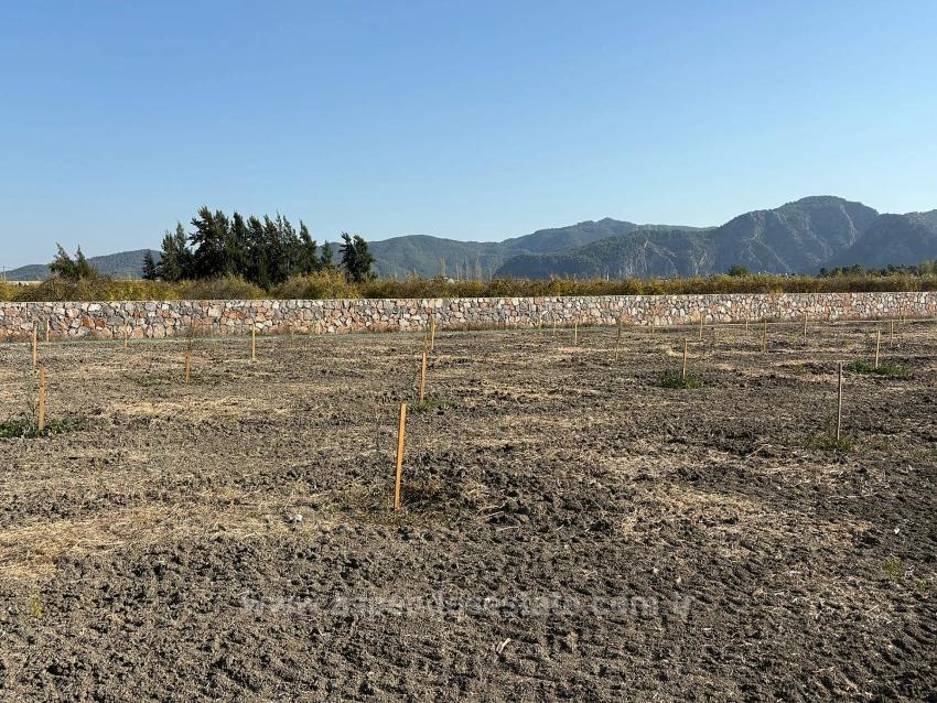 Eskiköy'de 19.663M2 Çiftlik Arazisi Ve Ev