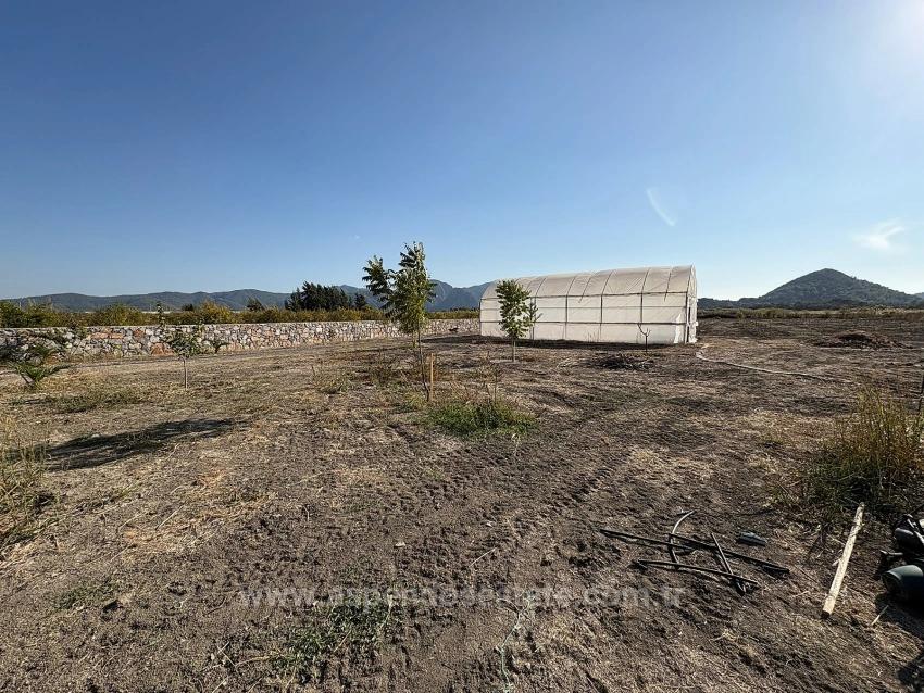 Eskiköy'de 19.663M2 Çiftlik Arazisi Ve Ev