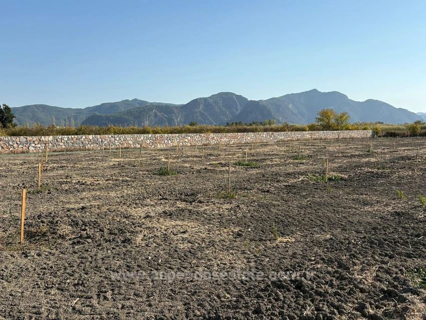 Eskiköy'de 19.663M2 Çiftlik Arazisi Ve Ev