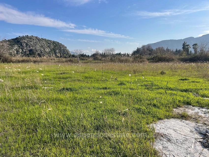 Dalyan'da 6800 M2 %5 Konut İmarlı Satılık Arsa