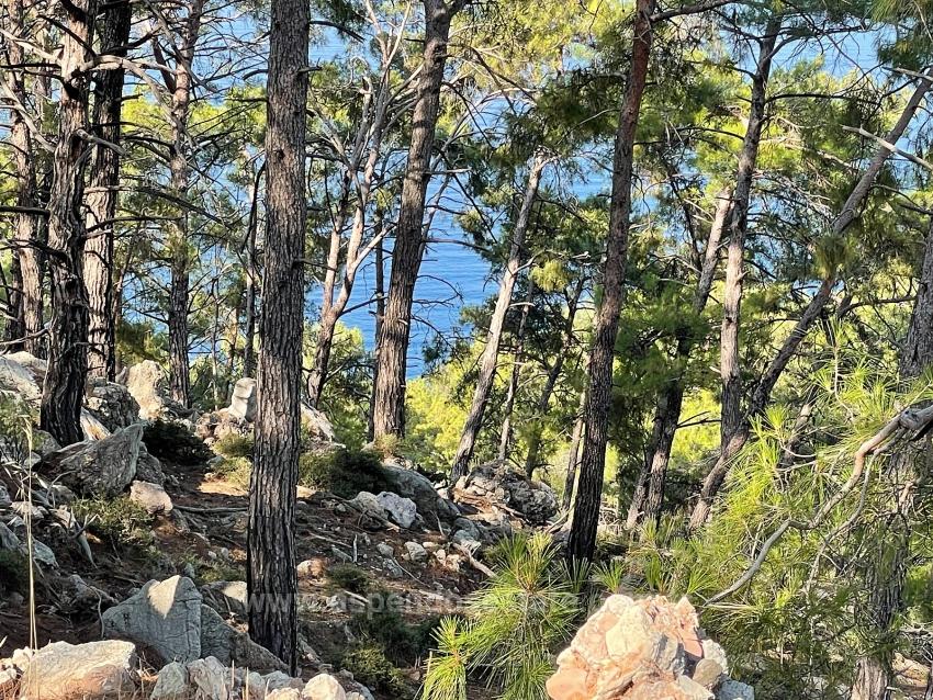 Ekincik Çandır Arasın'da Deniz Manzaralı Kelepir Emlak Satılık Arsa