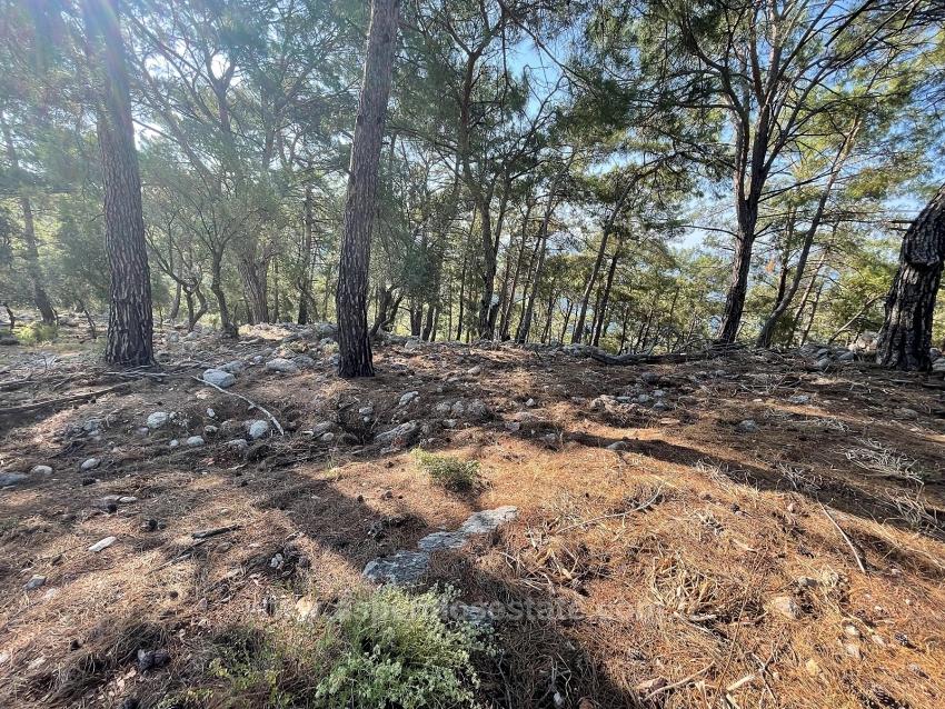 Ekincik Çandır Arasın'da Deniz Manzaralı Kelepir Emlak Satılık Arsa