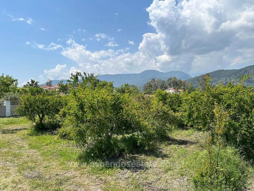 Dalyan Maraş Mevkiinden 5,100M2 %5 Konut İmarlı Satılık Arsa