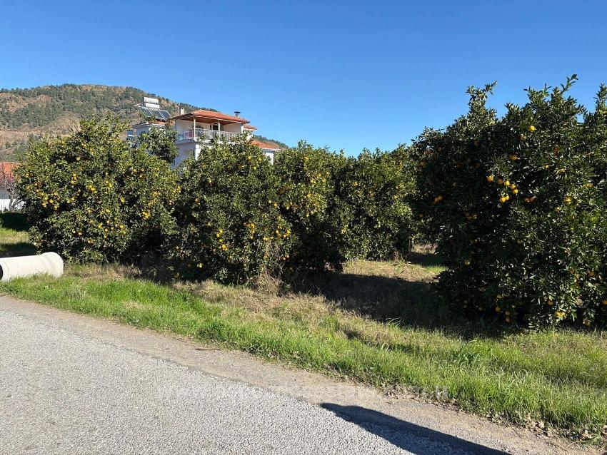 Ekşiliyurt'ta 1085M2 Yerleşik Alan İçerisinde İmarlı Satılık Arsa