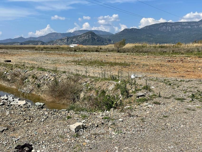 Dalyan İztuzu Plaj Yoluna Sıfır 19.600M2 Satılık Tarla