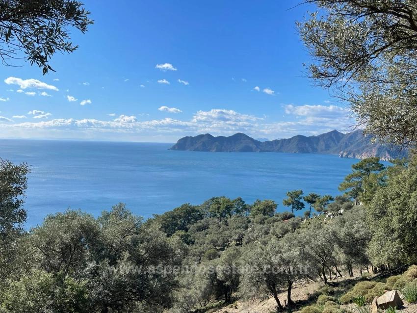 Çandır Full Deniz Manzaralı 20.000M2 Satılık 2B