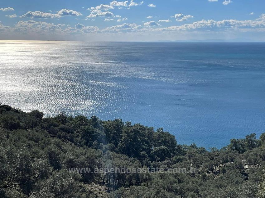 Çandır Full Deniz Manzaralı 20.000M2 Satılık 2B