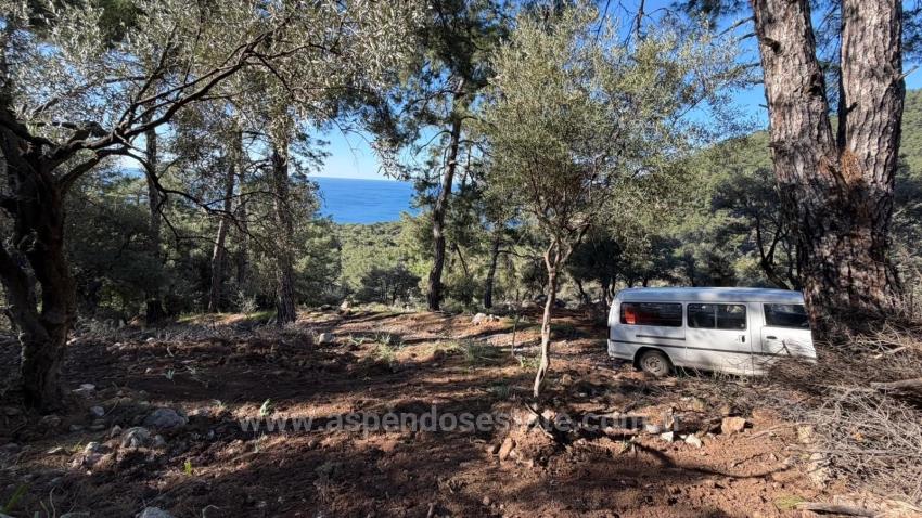 Çandır'da Full Deniz Manzaralı 5715M2 Satılık 2B Tarla