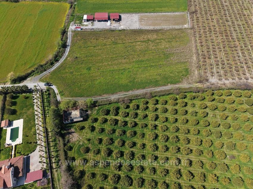 Dalyan Merkeze Yakın 17.550M2 Satılık Bağ-Bahçe