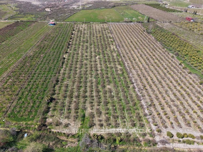 Eskiköy'de Göl Manzaralı 16.710M2 Satılık Nar Bahçesi