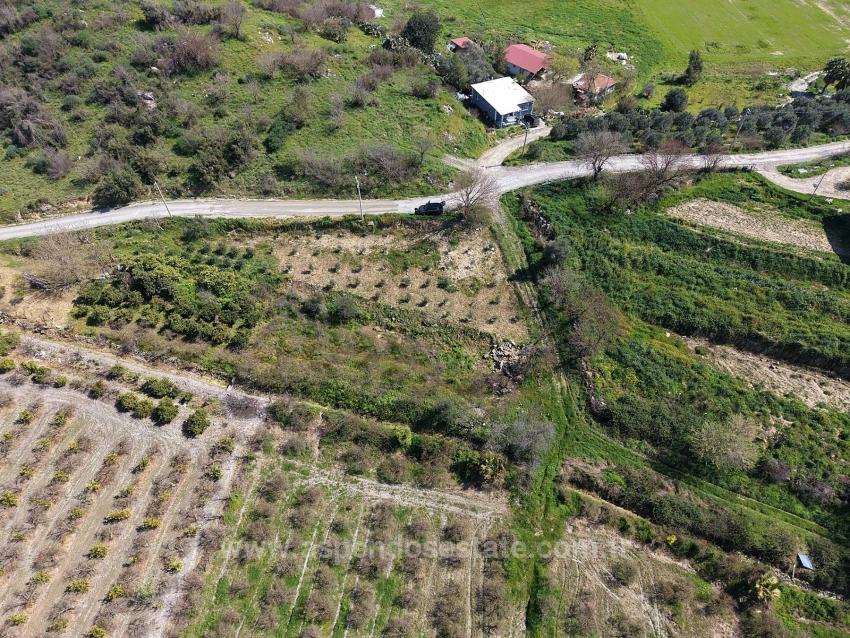 Eskiköy'de Göl Manzaralı 16.710M2 Satılık Nar Bahçesi