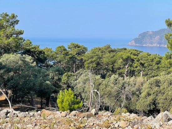 Ekincik Çandır Arasın'da Deniz Manzaralı Kelepir Emlak Satılık Arsa