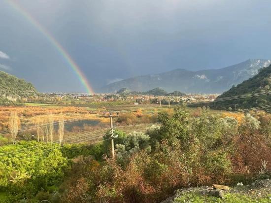 Köyceğiz Çandır'da 35000M2 Satılık Çiftlik Arazisi