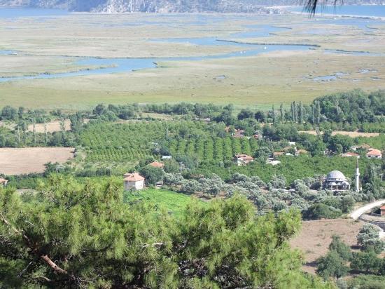 Köyceğiz Çandır'da 19.334m2 Satılık Tarla