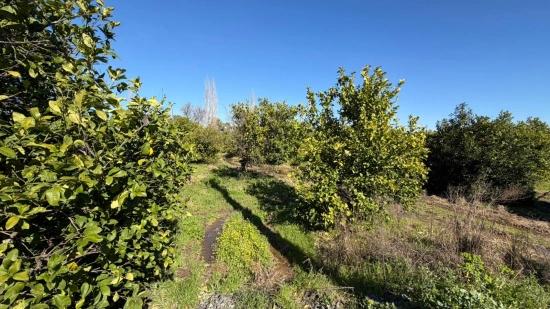 Okçular Marmarlı'da 2.218M2 Satılık Arsa