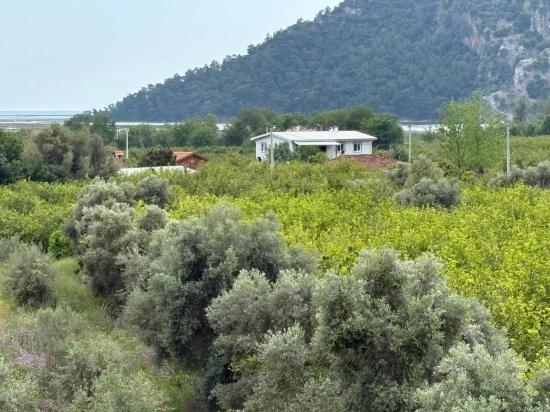Çandır'da Deniz Ve Göl Manzaralı 1.721m2 Satılık Tarla