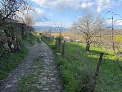 Dalyan'da Göl Manzaralı 11.230M2 Satılık Tarla