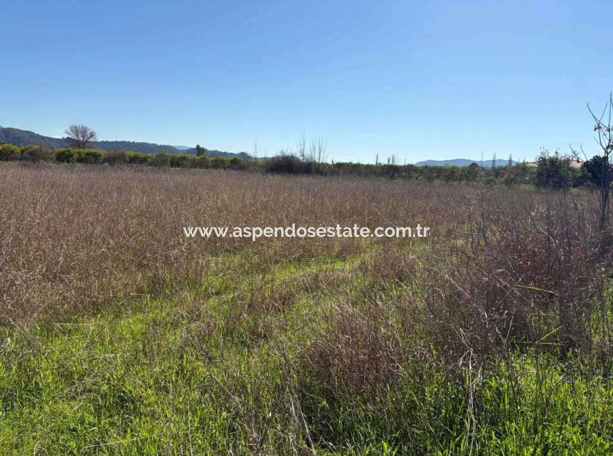 Ortaca Yeşilyurt'da 4064M2 İmarılı Satılık Arsa