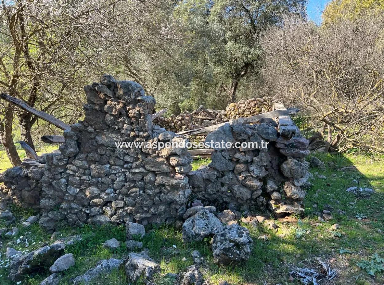 Gökbel'de Doğa Ve Orman İçerisinde Satılık Tarla