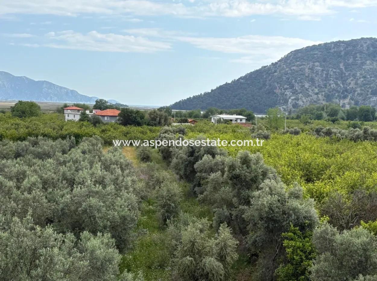 Çandır Köyünde Deniz Ve Göl Manzaralı 1,721M2 Satılık Tarla