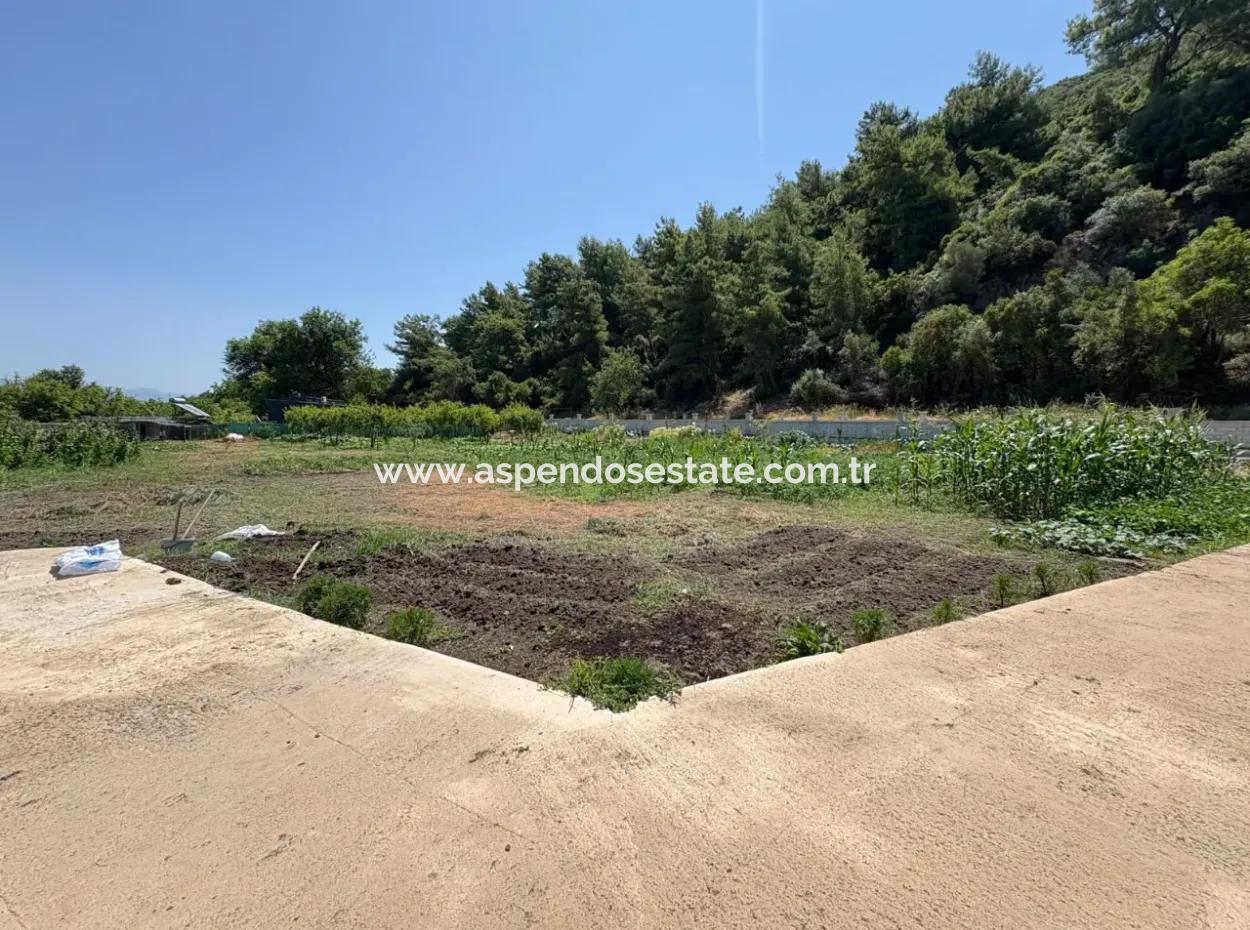 Dalyan Karadağ Mevkiinde 2500M2 Tarla İçerisinde 120M2 Müstakil Ahşap Ev