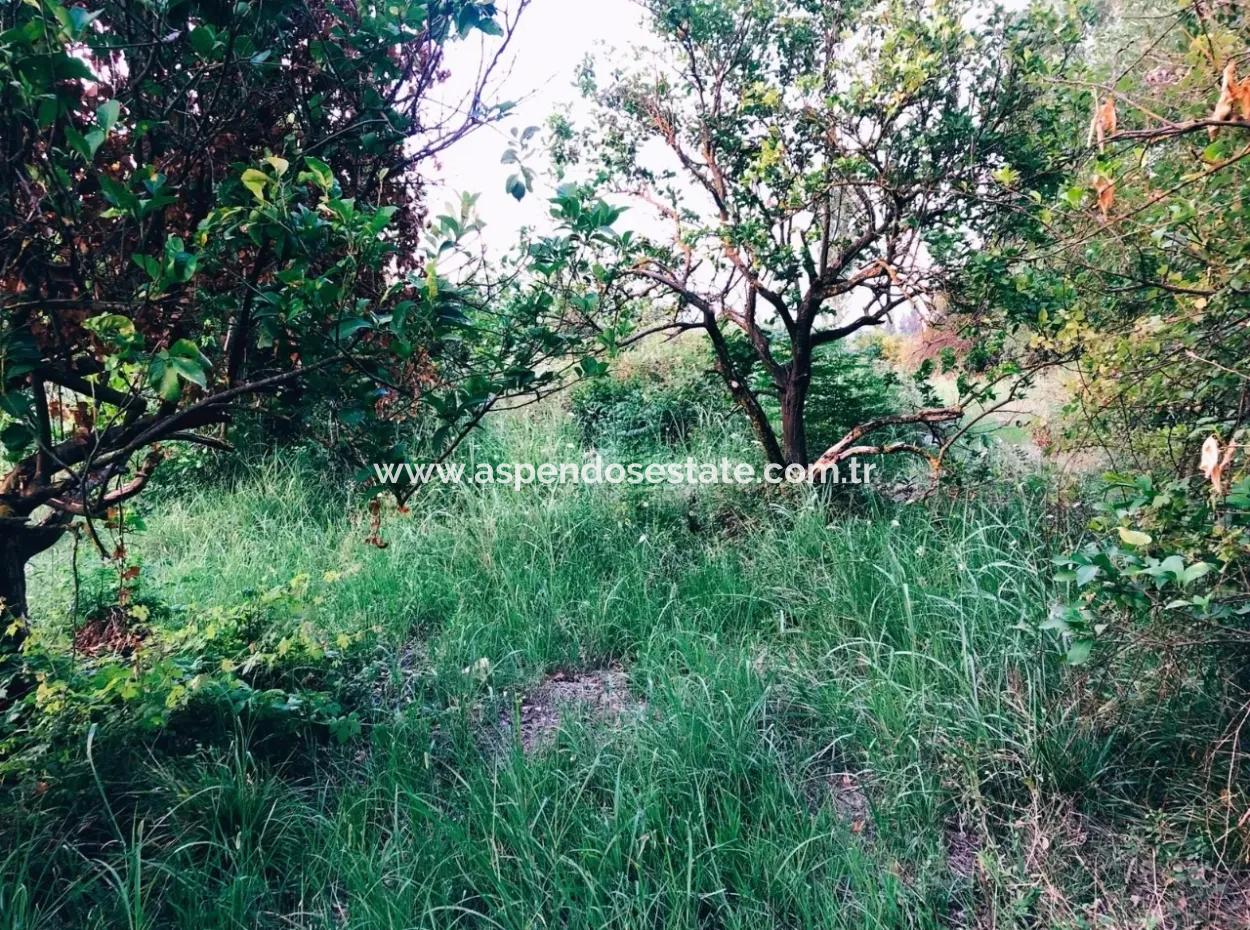 Okçularda Satılık Arsa Okçular Marmarlı Satılık  1,500M2 Satılık Arsa