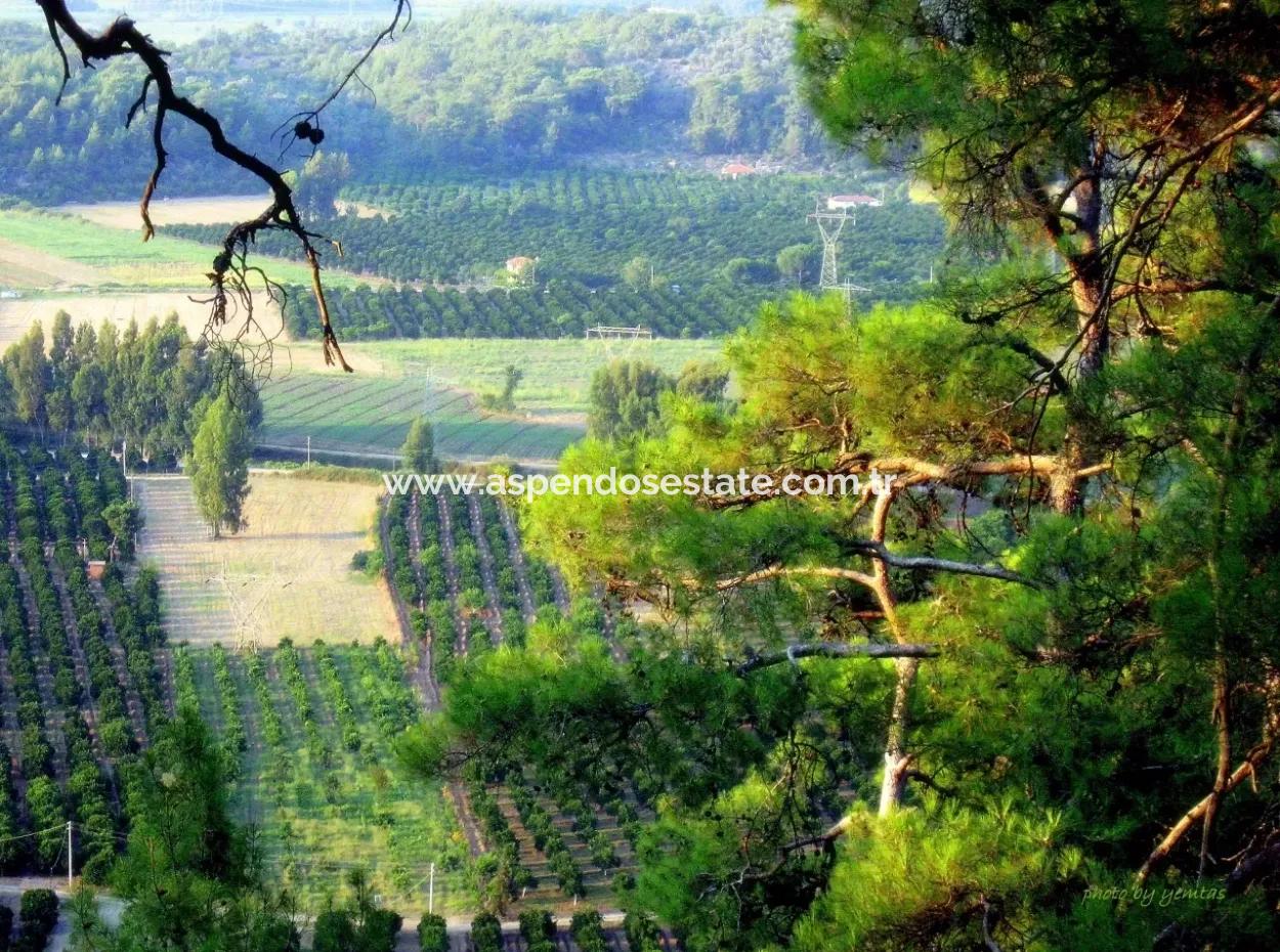 Gökçe Satılık Arsa Gökçe 21671M2 Satılık Tarla