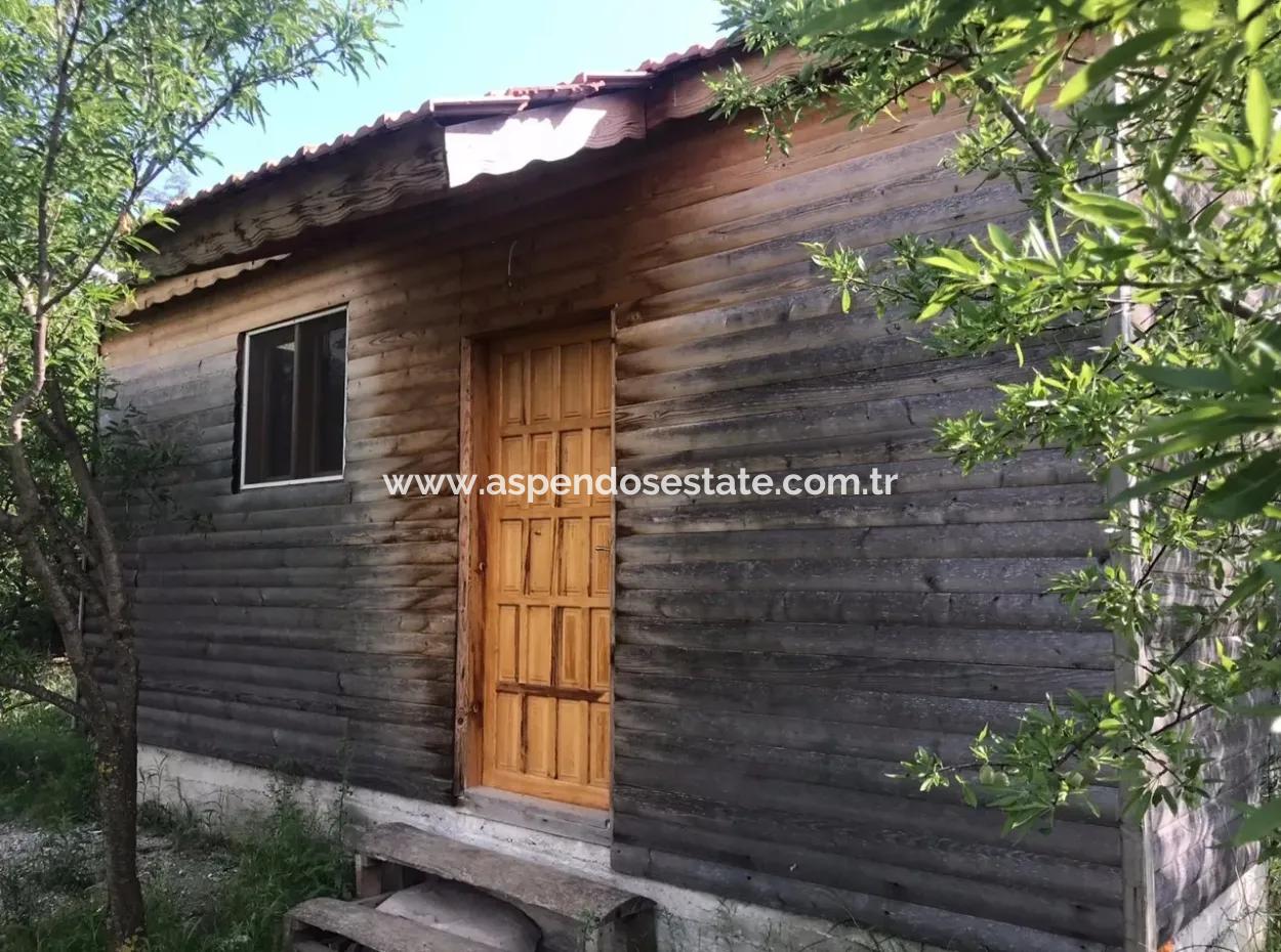 Seydikemer Korubükün Satılık 76000M2 Ciftlik Arazisi