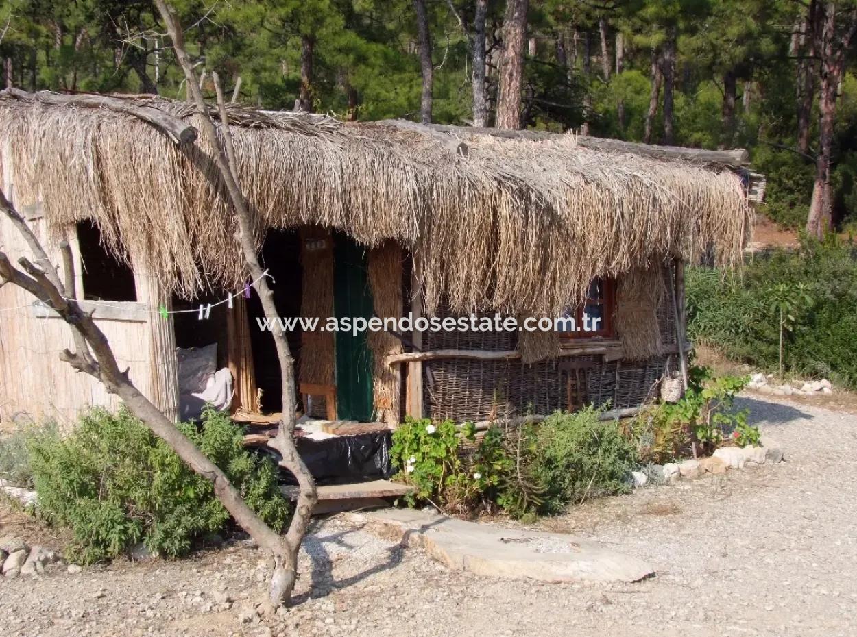 Akbük Satılık Denize Sıfır Bungolev Turnalı 800M2 Arsa İçinde Denize Sıfır Satılık Villa