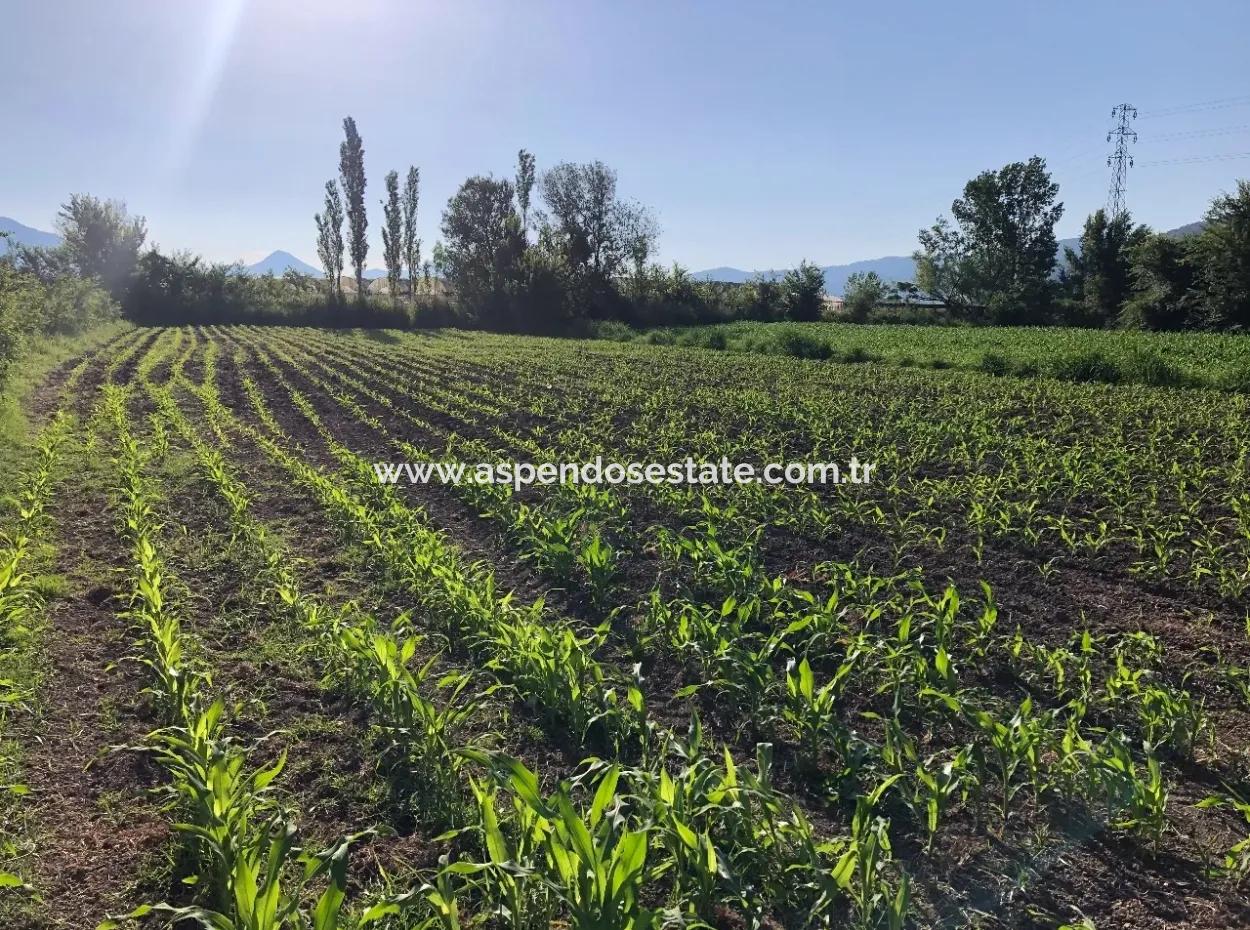 Dalyan Satılık Arsa Dalyan 2200M2 Satılık Arsa