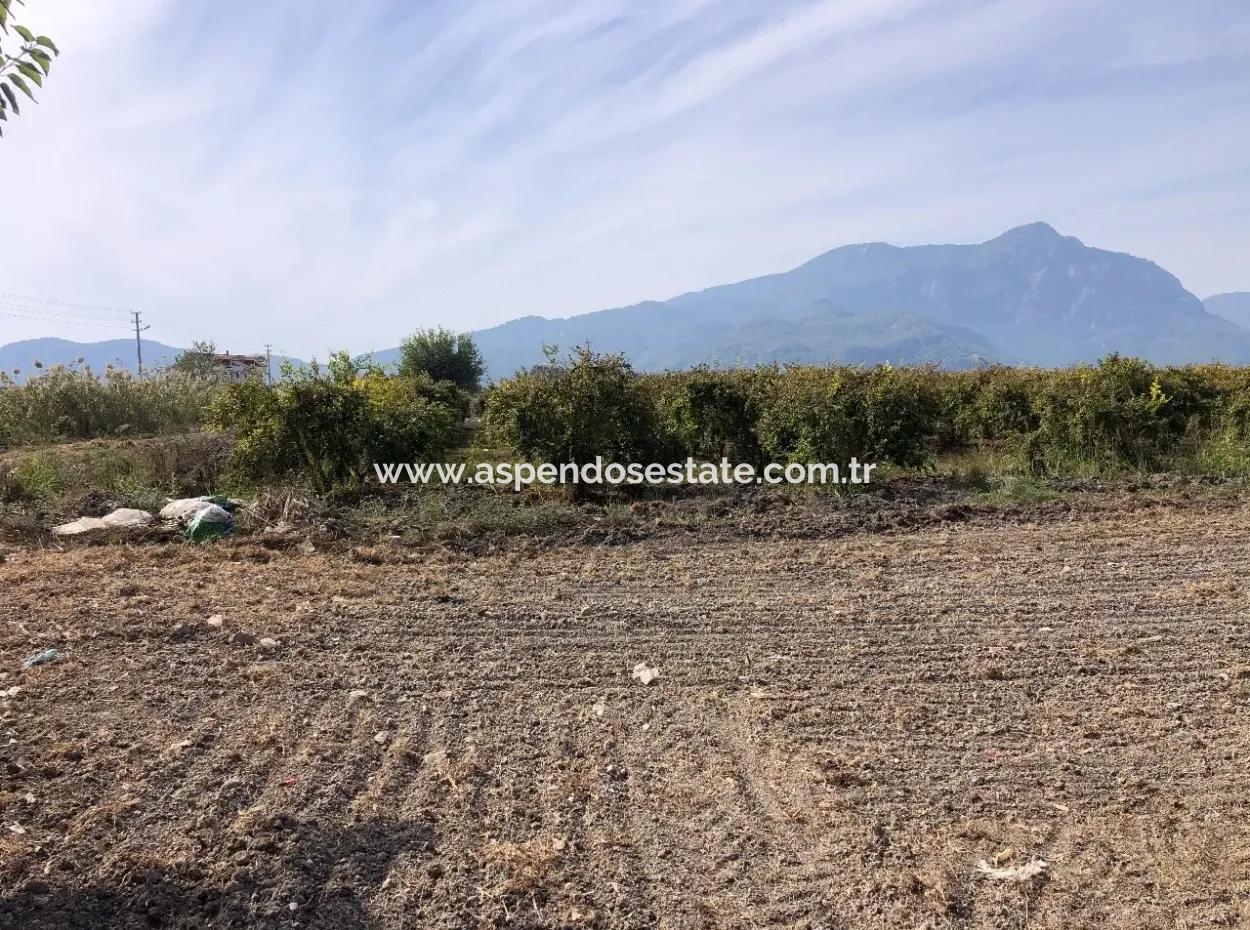 Esköyde Satılık Tarla Arsa 8500M2 Satılık Tarla Arsa